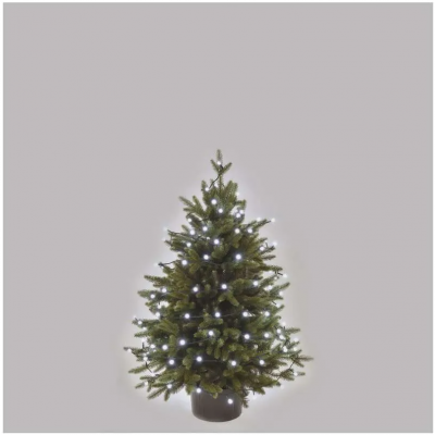 Lampki choinkowe 80 LED cherry 8m zimna biel zielony przewód 8 programów IP44 EMOS (D5AC06)